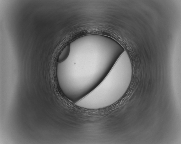 X0000116591153200912101326