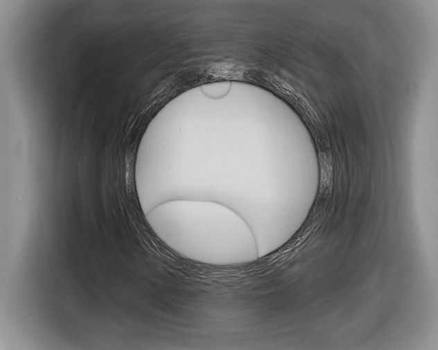 X0000116591154200912101326