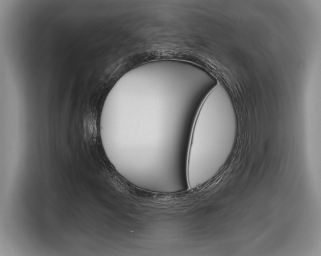 X0000116591155200912101326