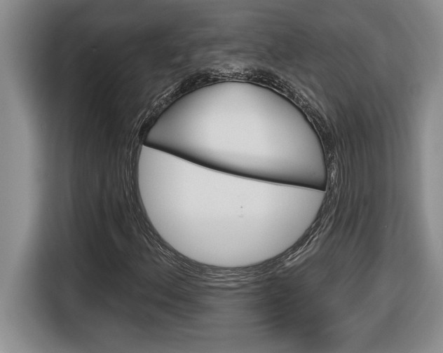 X0000116591156200912101326