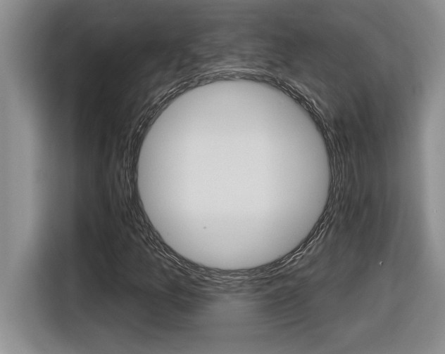 X0000116591157200912101325