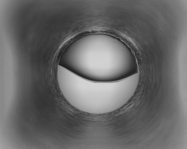X0000116591160200912101325