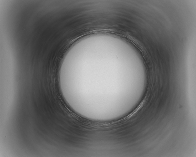 X0000116591161200912101325