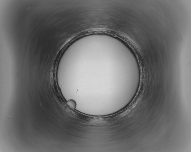 X0000116591162200912101325