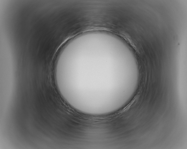 X0000116591165200912101325