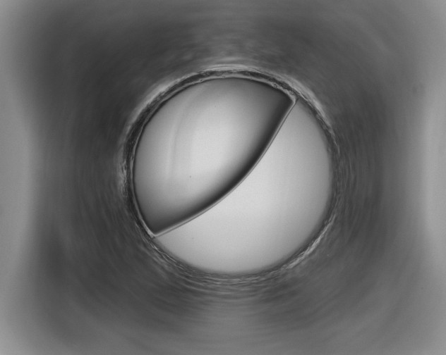 X0000116591167200912101325