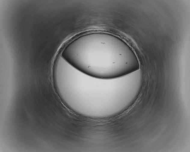 X0000116591168200912101325