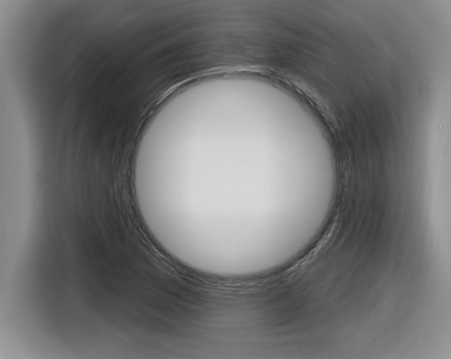 X0000116591169200912101325