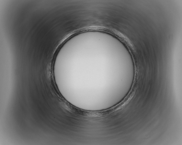 X0000116591170200912101325