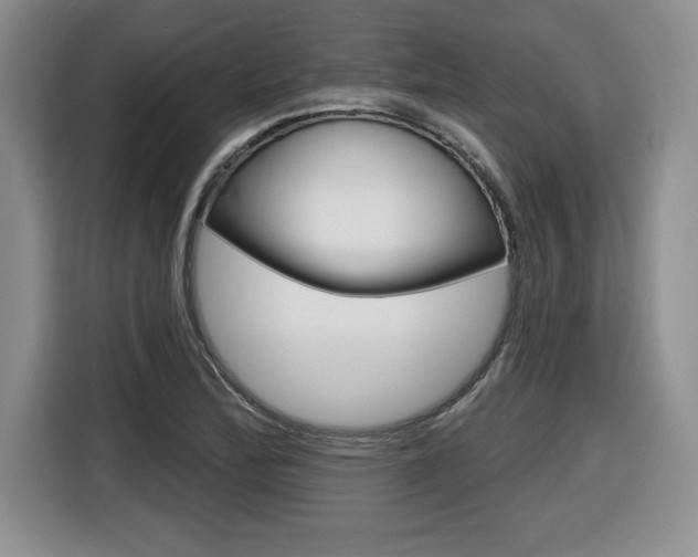 X0000116591172200912101325