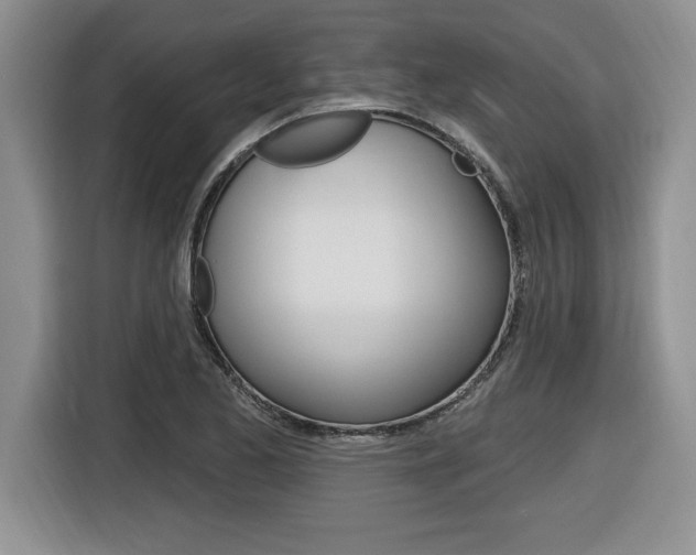 X0000116591173200912101325