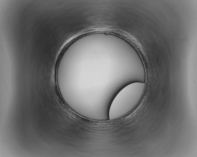 X0000116591174200912101325