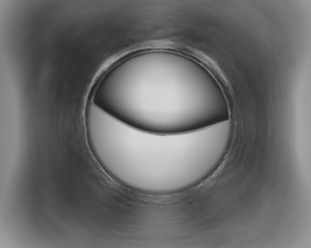 X0000116591176200912101325