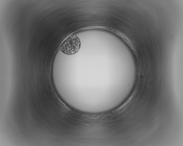 X0000116591177200912101325