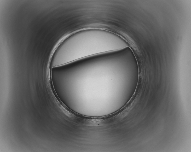 X0000116591180200912101325