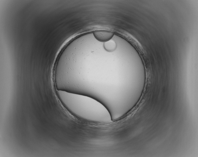 X0000116591182200912101325