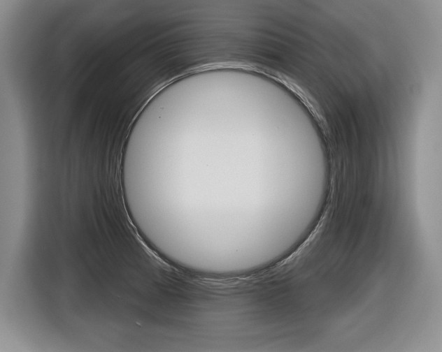 X0000116591185200912101325