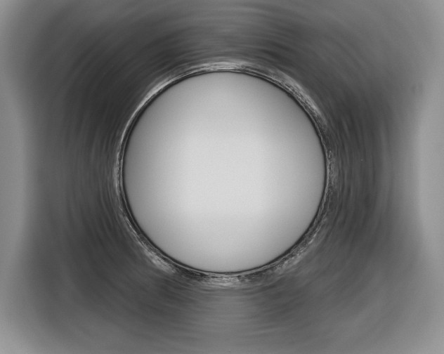 X0000116591186200912101325