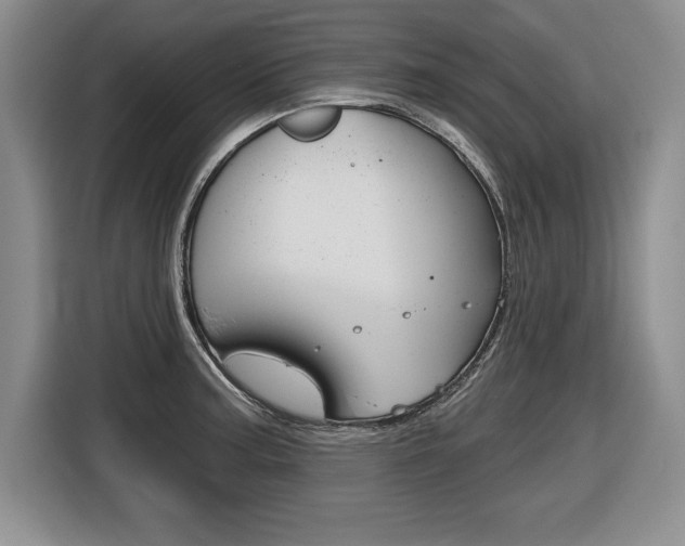 X0000116591187200912101325