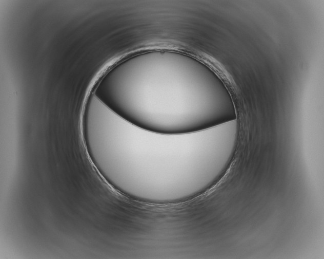 X0000116591188200912101325