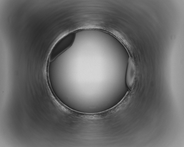 X0000116591189200912101325