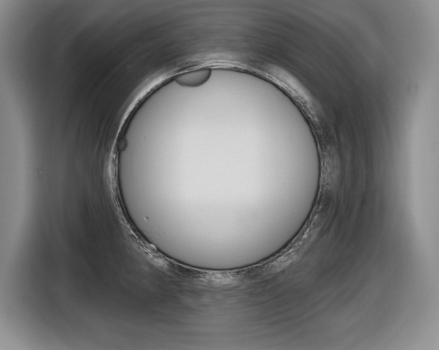 X0000116591190200912101325