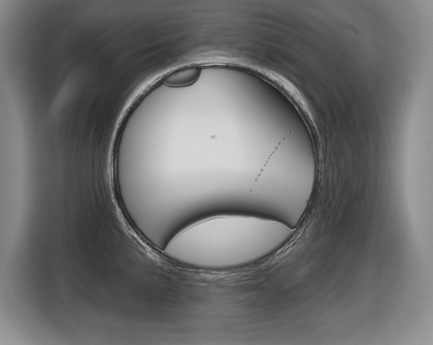 X0000116591191200912101325