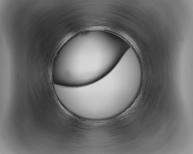 X0000116591193200912101325