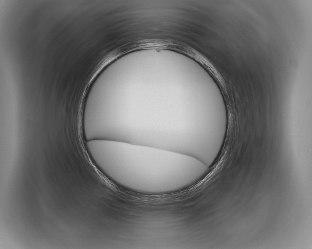 X0000116591194200912101325