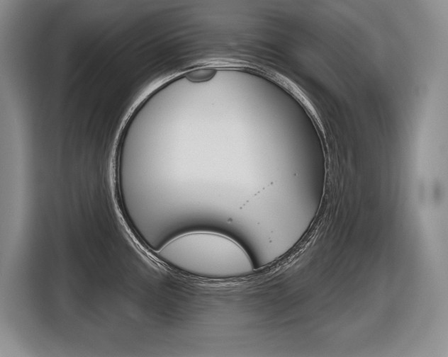 X0000116591195200912101325