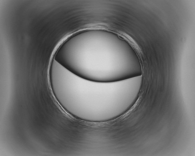 X0000116591196200912101325