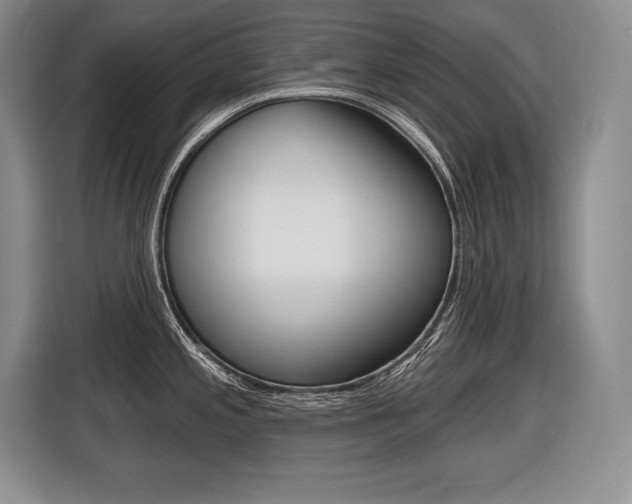 X0000116591197200912101325