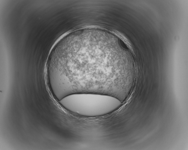 X0000116591198200912101325