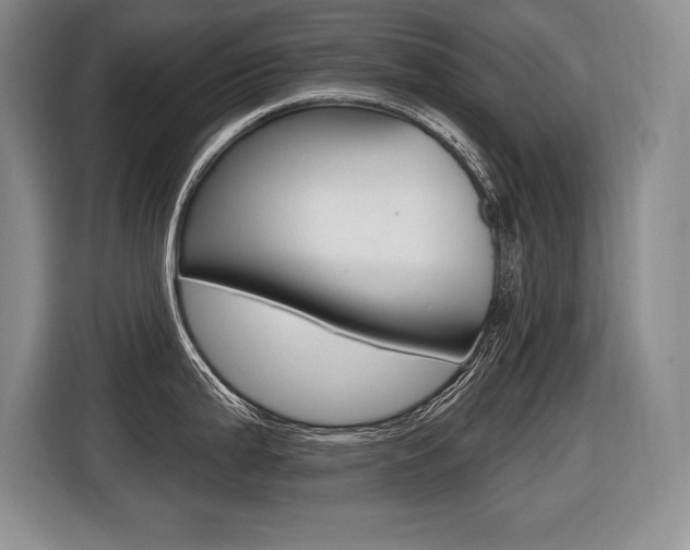 X0000116591199200912101325