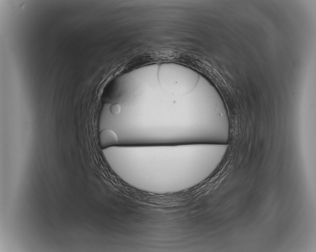 X0000116591201200912101324