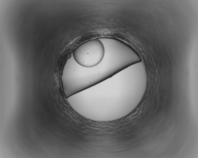 X0000116591205200912101324