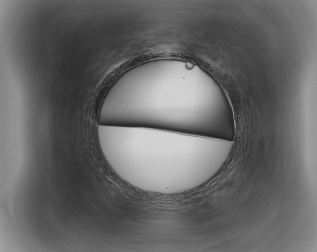 X0000116591206200912101324