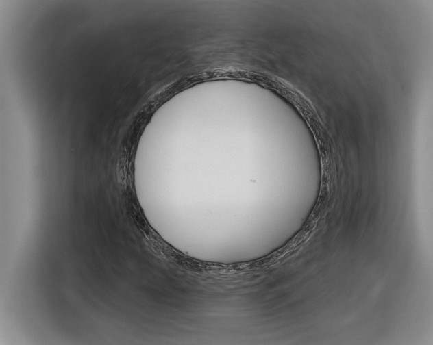 X0000116591207200912101324