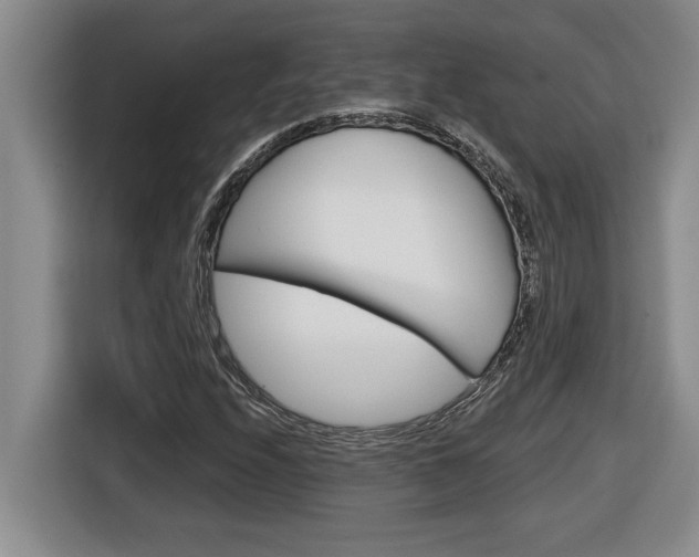 X0000116591208200912101324