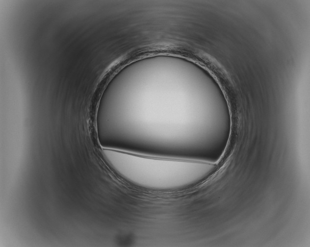 X0000116591210200912101324