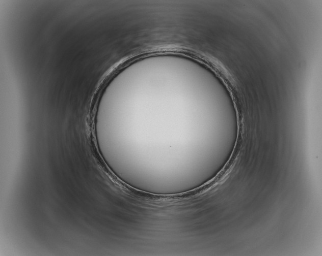 X0000116591212200912101324