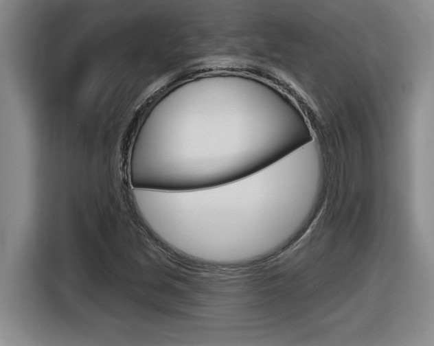 X0000116591213200912101324