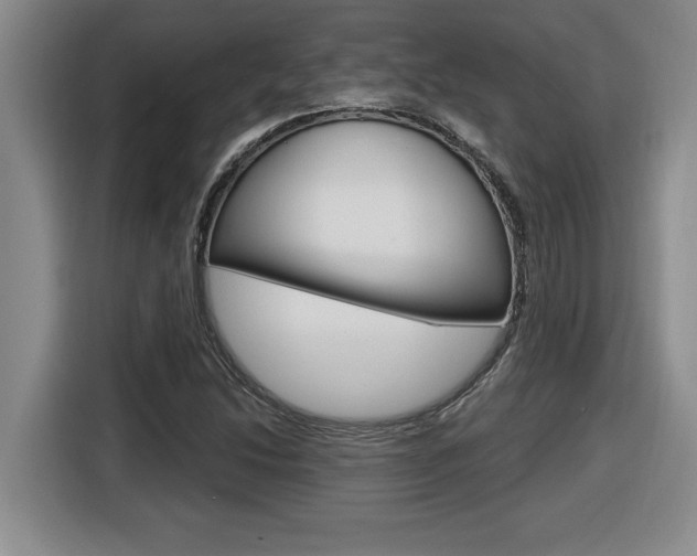 X0000116591214200912101324
