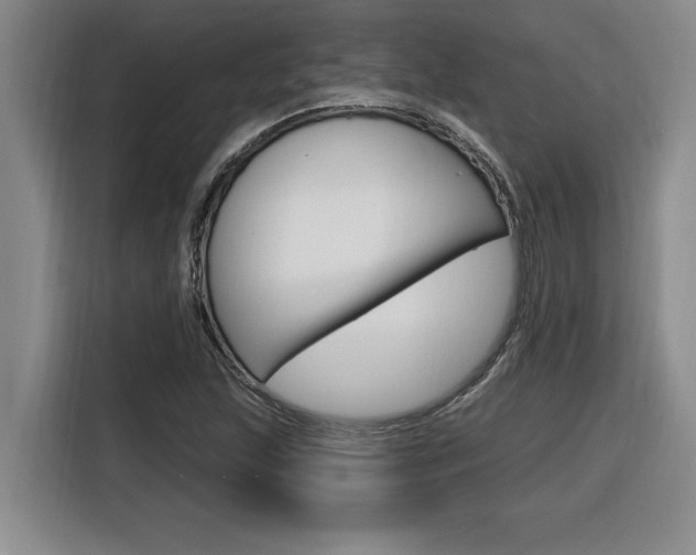 X0000116591215200912101324