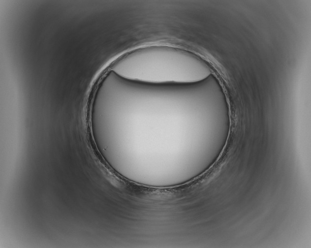X0000116591216200912101324