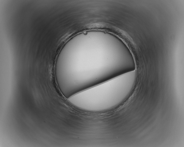 X0000116591217200912101324