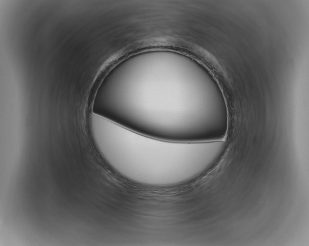 X0000116591218200912101324