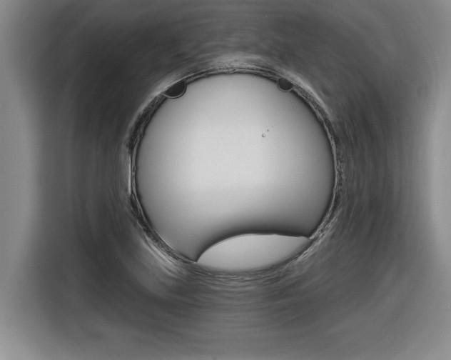 X0000116591219200912101324