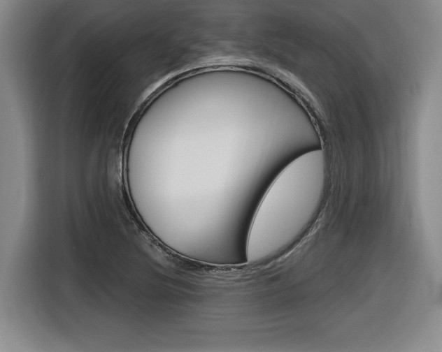 X0000116591220200912101324