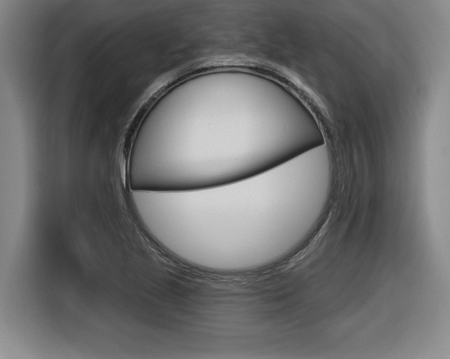 X0000116591221200912101324